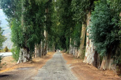 Marmaris Datça Dalyan Tatili ( 4 Gece Konaklamalı ) — Görsel 7